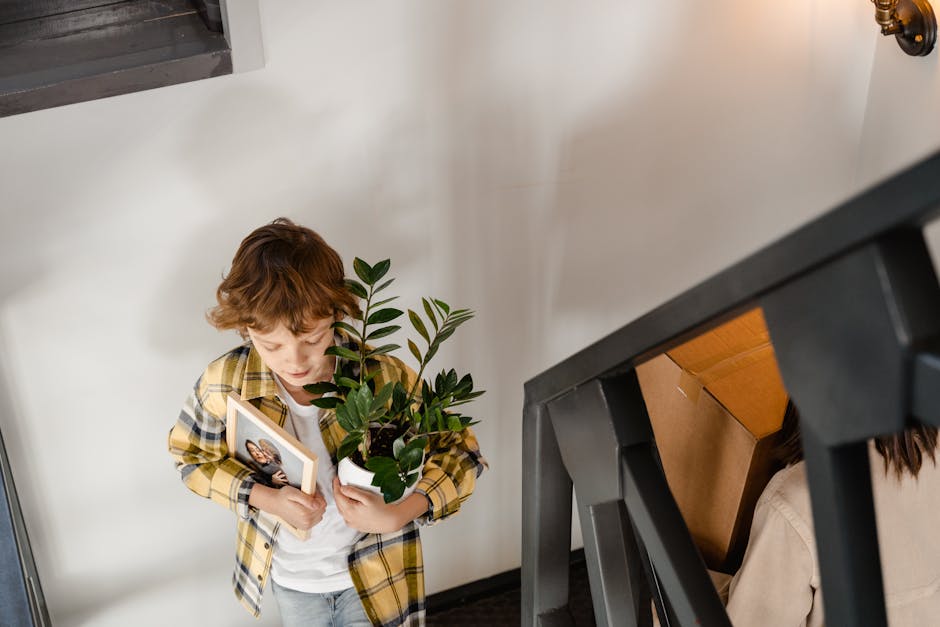 A young boy with curly red hair, dressed in a yellow plaid shirt over a white T-shirt, stands in a hallway holding a framed photograph in one hand and a potted plant with broad green leaves in the other. The hallway has plain white walls and is lit with natural lighting. Behind him, a staircase with dark wooden steps and gray railings is partially visible, indicating movement or transition within a home environment. The scene suggests preparations for a home relocation, with the boy possibly assisting in packing or moving household items. Nearby, there are cardboard boxes and packing materials, supporting the context of furniture transport and packing and moving activities, which are typical in house removals and relocation services offered by companies such as Man with Van Neasden. The overall setting reflects an indoor space where items are being organized or loaded for transport, illustrating aspects of the moving process within a residential property.